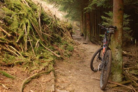 Mountainbiken in Houffalize